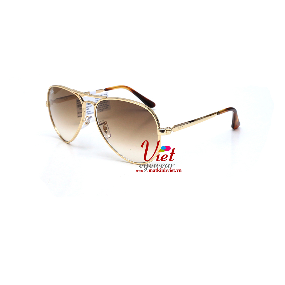 Kính mát RayBan RB3925 001/51